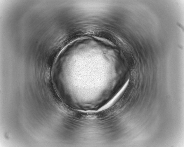 X0000093230554200710241238