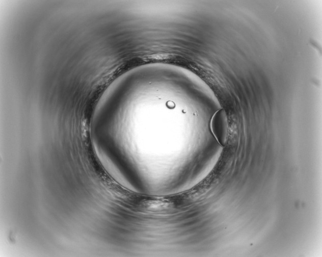 X0000093230555200710241238