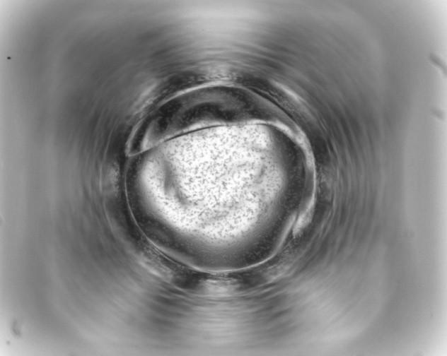 X0000093230556200710241238