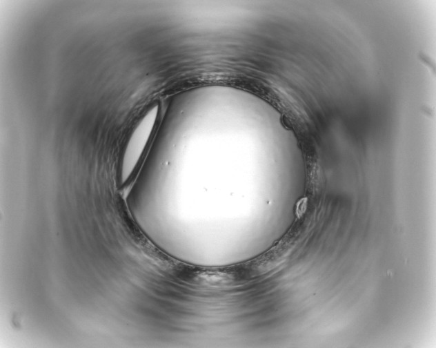 X0000093230557200710241238