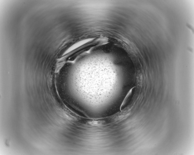 X0000093230558200710241238