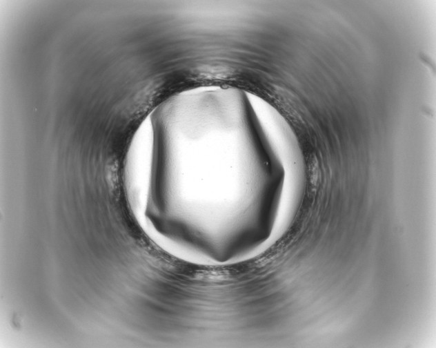 X0000093230559200710241238