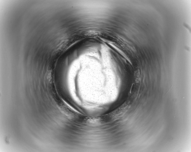 X0000093230560200710241238