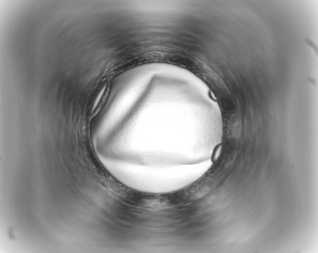 X0000093230561200710241238