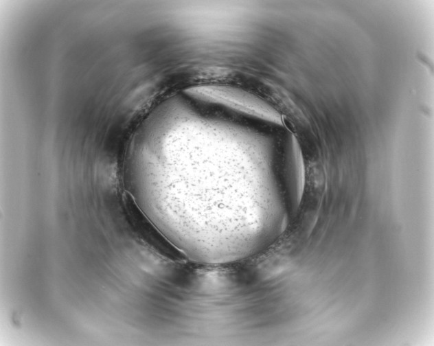 X0000093230564200710241238