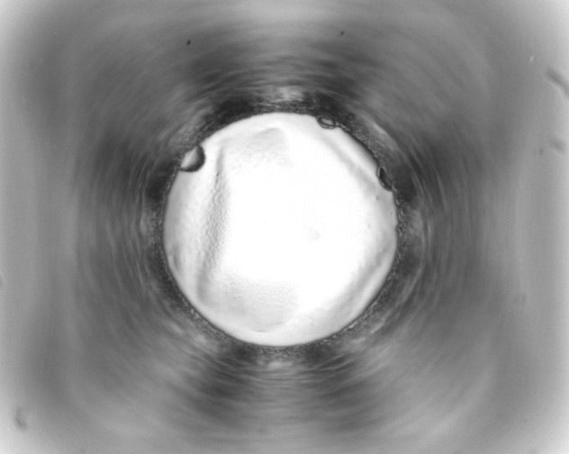 X0000093230565200710241238