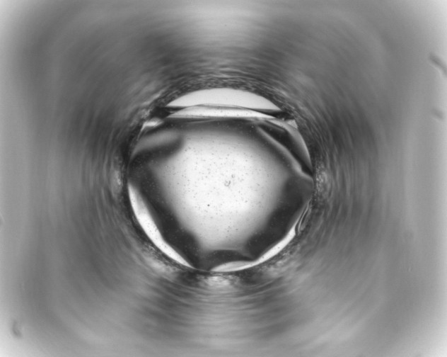 X0000093230566200710241238