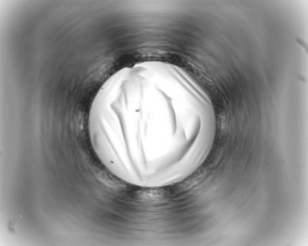 X0000093230567200710241238