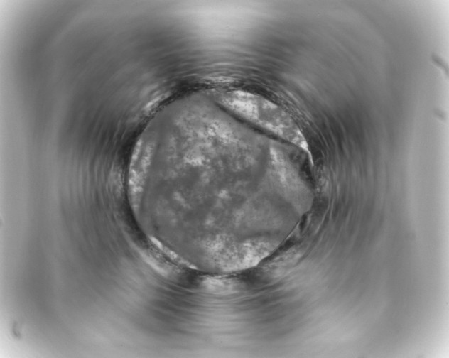 X0000093230568200710241238