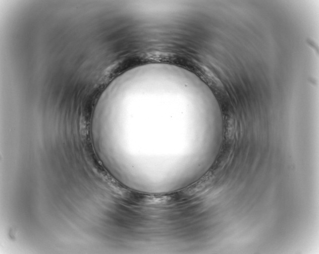 X0000093230569200710241238