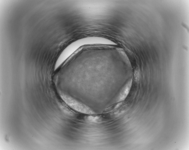 X0000093230570200710241238