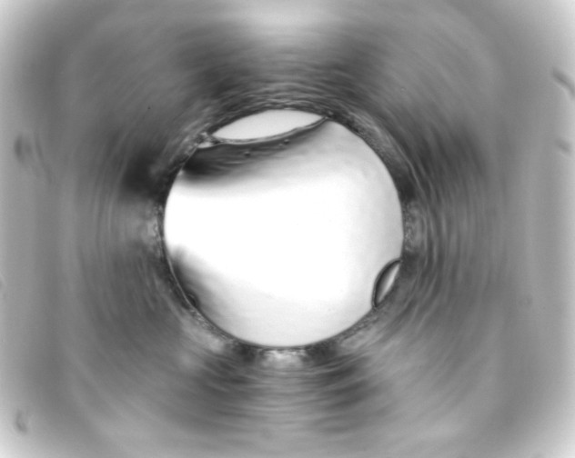 X0000093230573200710241238