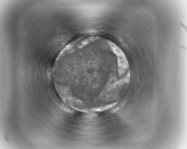 X0000093230576200710241238