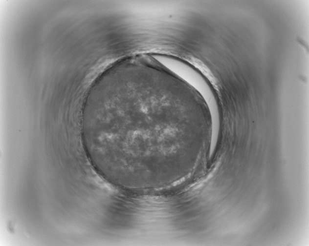 X0000093230577200710241237