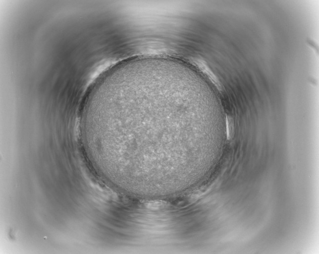 X0000093230579200710241237