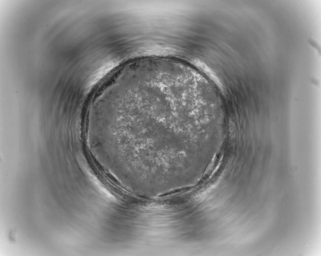 X0000093230581200710241237