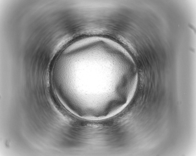 X0000093230582200710241237