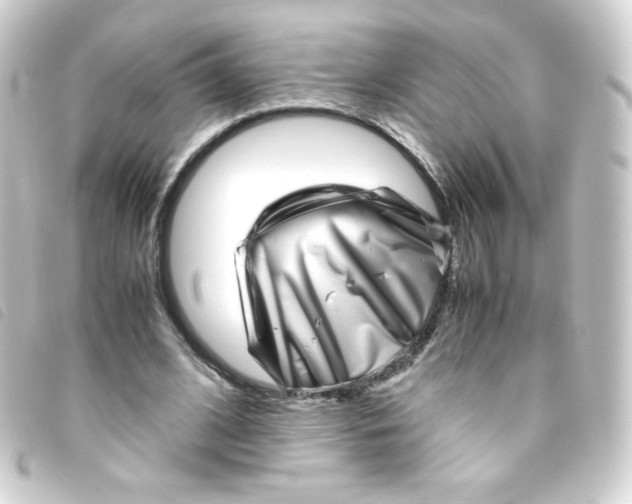 X0000093230584200710241237