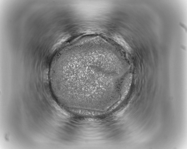 X0000093230585200710241237