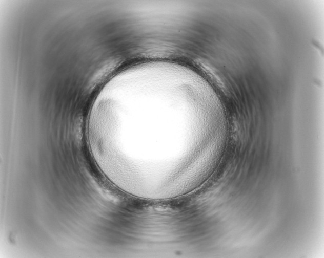 X0000093230586200710241237