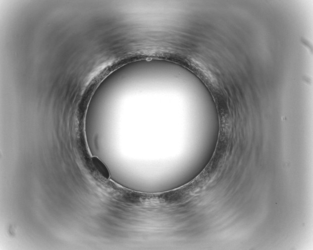 X0000093230587200710241237