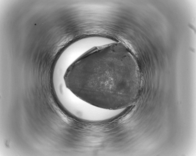 X0000093230589200710241237