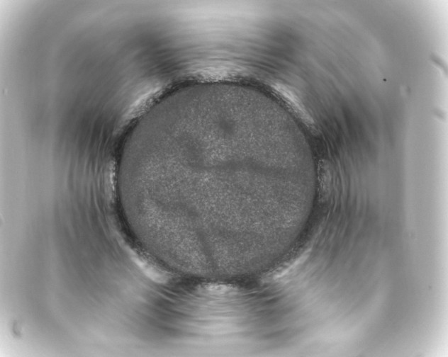 X0000093230590200710241237