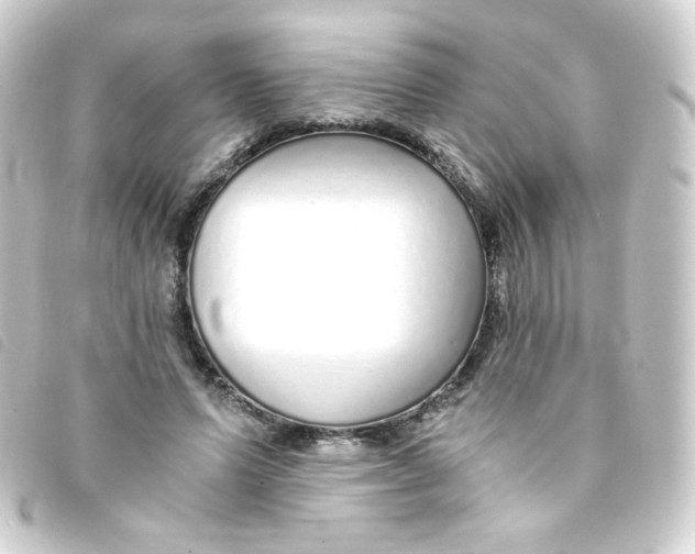 X0000093230591200710241237