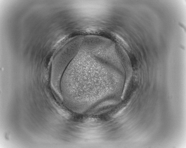 X0000093230593200710241237