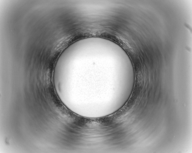 X0000093230594200710241237