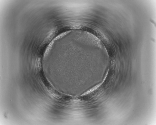 X0000093230598200710241237