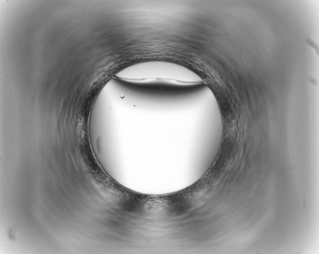 X0000093230599200710241237