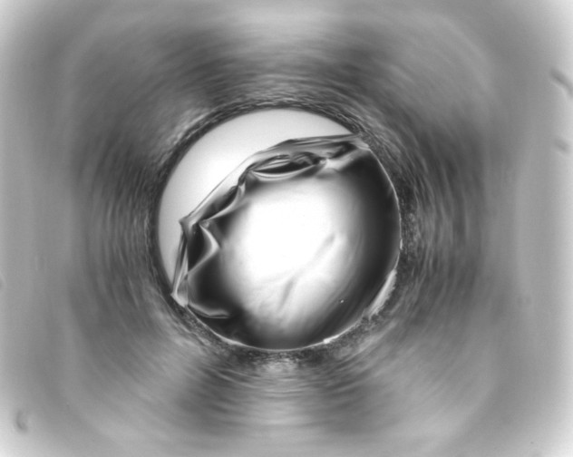 X0000093230600200710241237