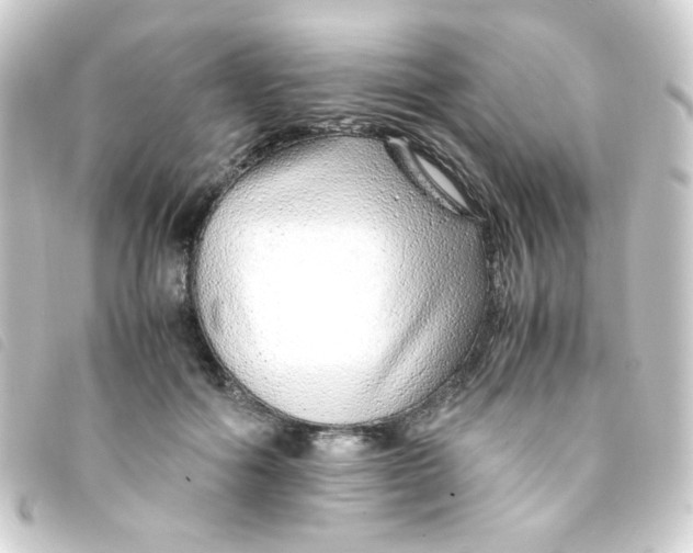 X0000093230602200710241237