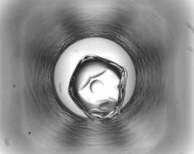 X0000093230604200710241237