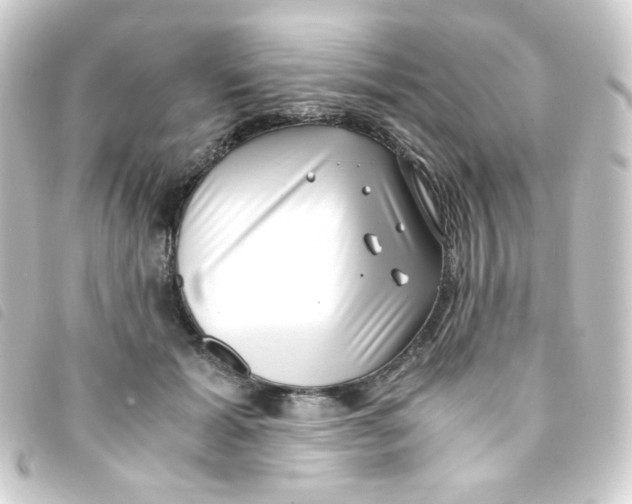 X0000093230605200710241237