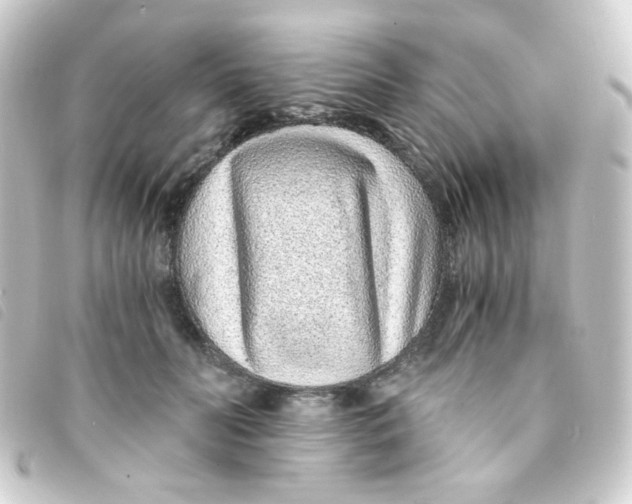 X0000093230606200710241237