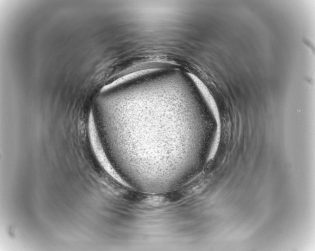 X0000093230609200710241237