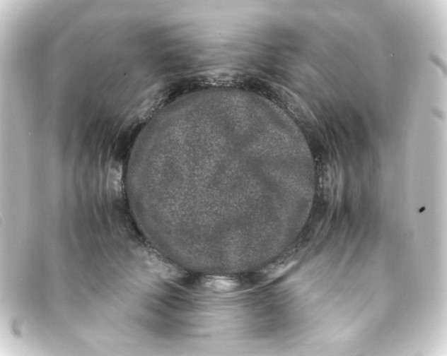 X0000093230610200710241237