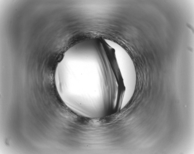 X0000093230613200710241237