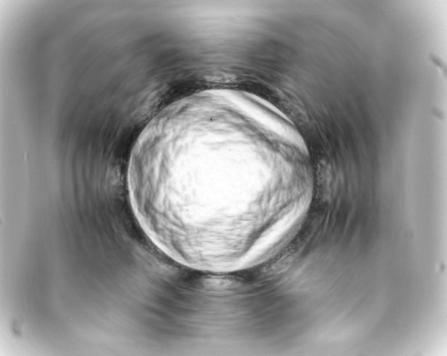 X0000093230614200710241237