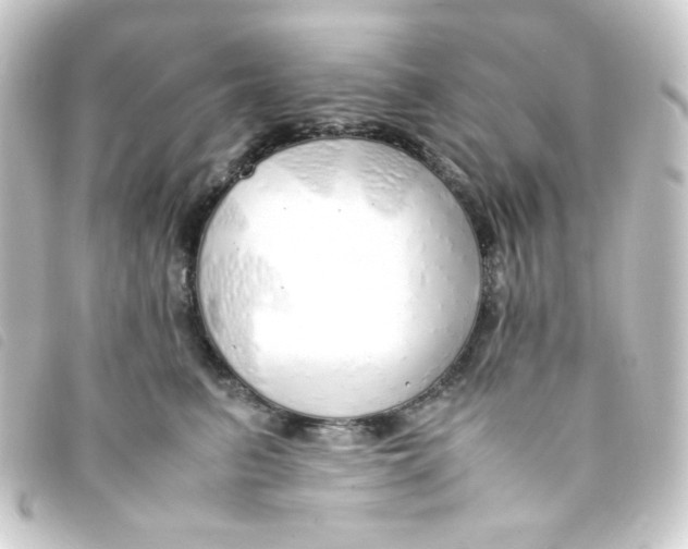 X0000093230615200710241237