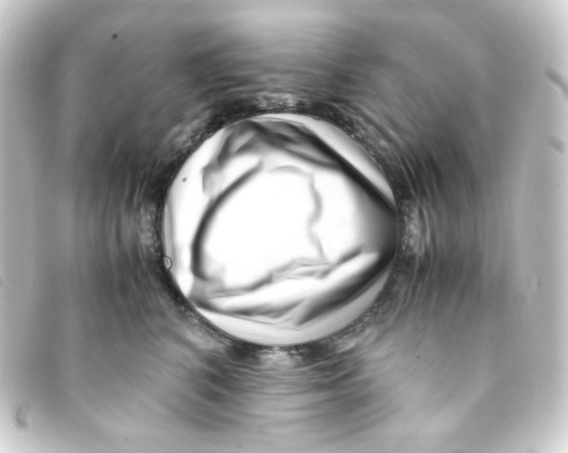 X0000093230616200710241237