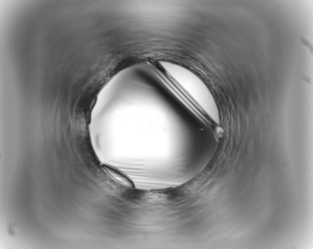 X0000093230617200710241237