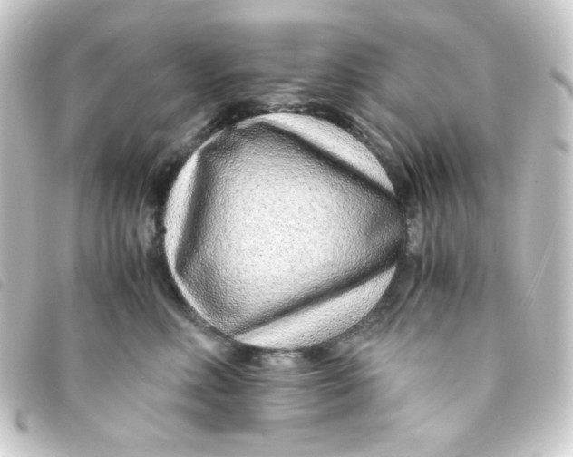 X0000093230618200710241237