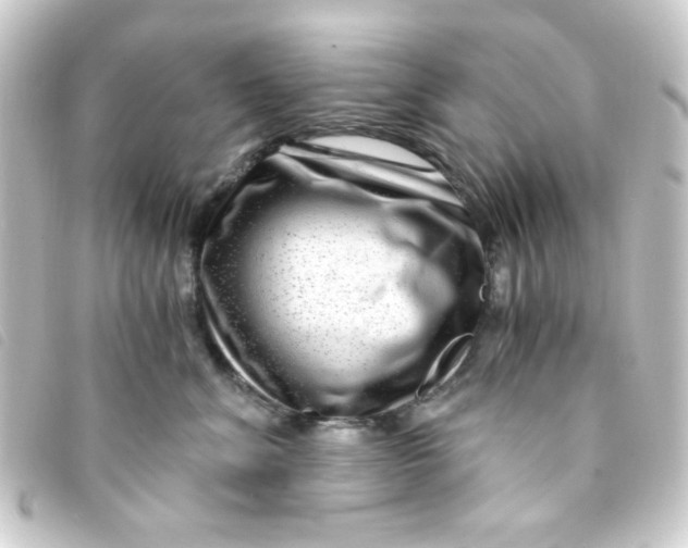 X0000093230620200710241237