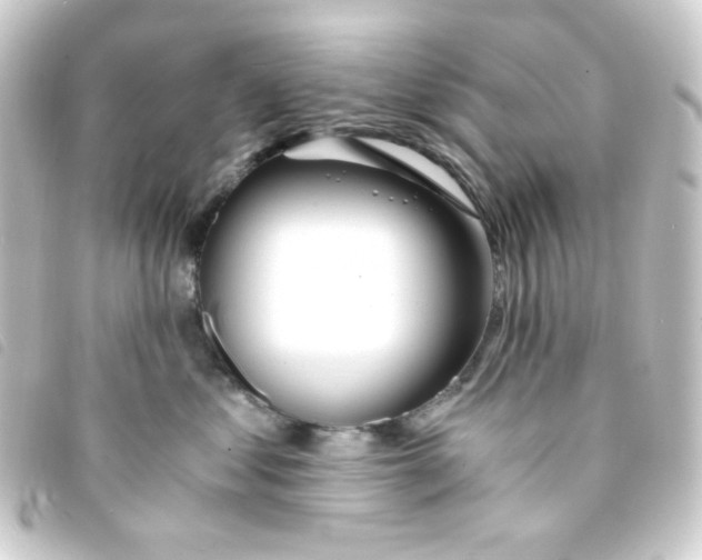 X0000093230621200710241237