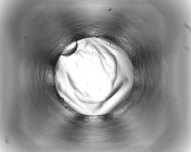 X0000093230622200710241237