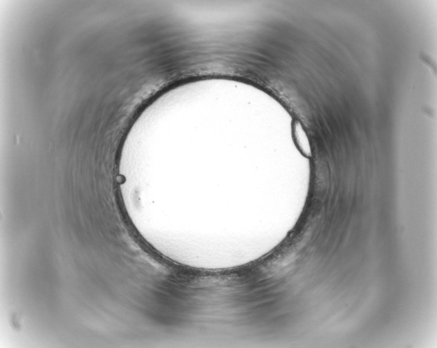 X0000093230625200710241236