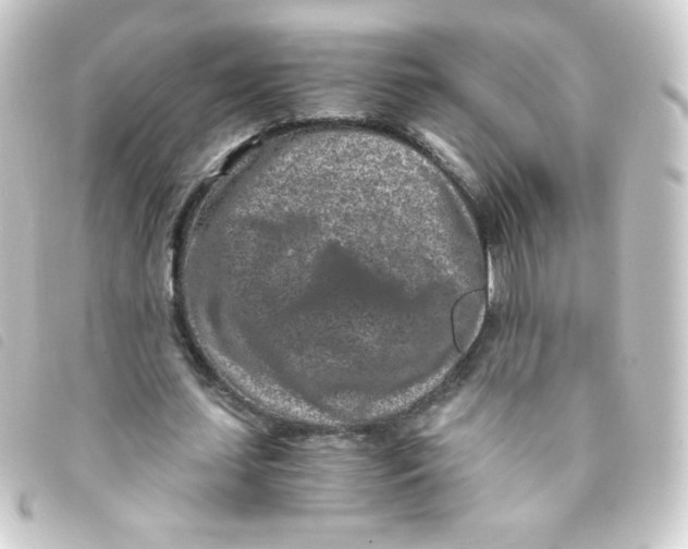 X0000093230627200710241236